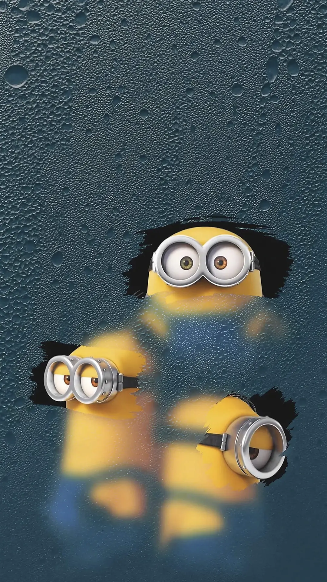 Funny & Memes wallpaper