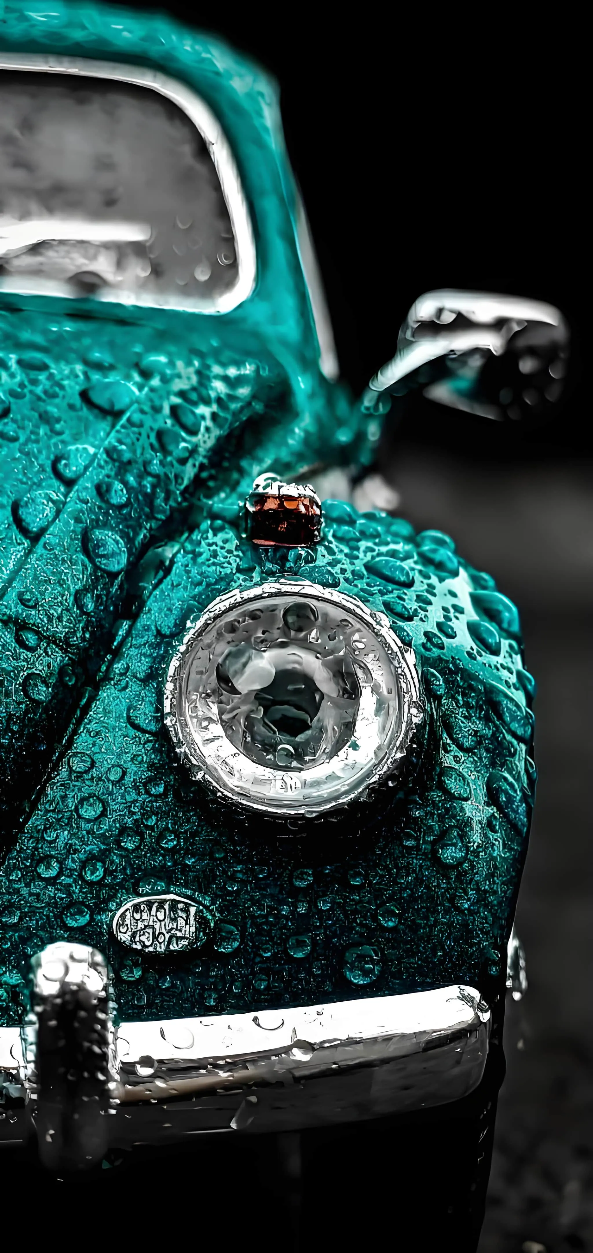 Macro & Close-ups wallpaper