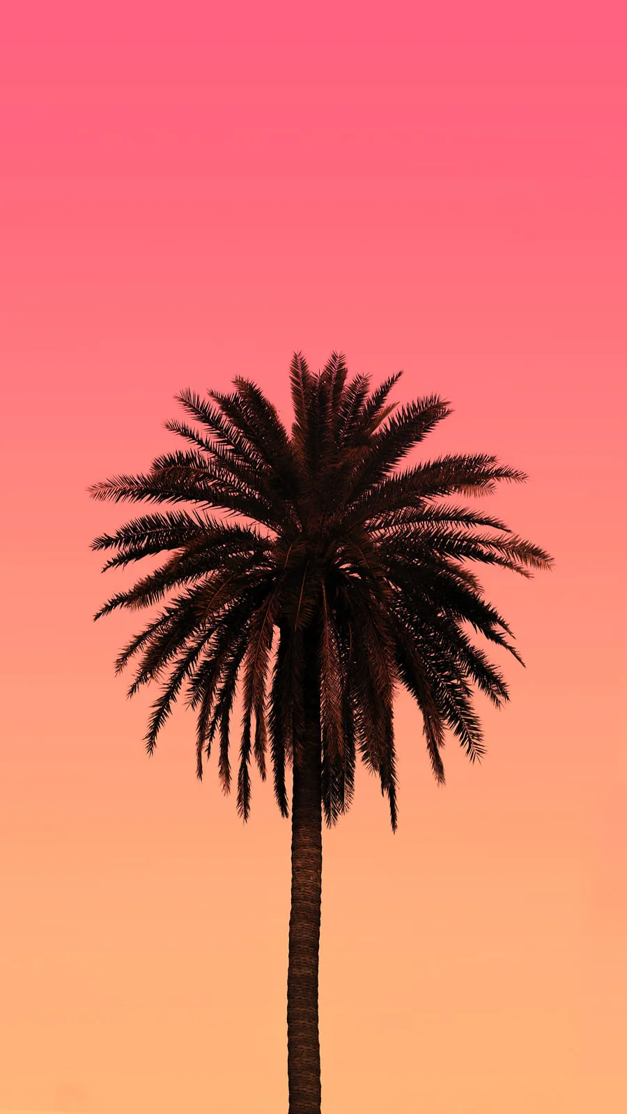 Nature & Landscapes wallpaper